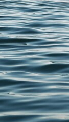 dark blue water flows gently, creating soft ripples across the surface. this serene scene radiates t
