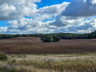 Autumn landscape with agricultural fields, cloudy sky