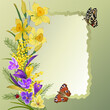 © Инна Федорова - Illustration with a bouquet of flowers.Butterflies, spring flowers and frame in color illustration.