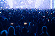 © Dziurek - Crowd of people in front of the stage during the concert.