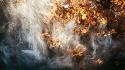 Wall Mural - Abstract Autumnal Forest with Fog and Sunlight