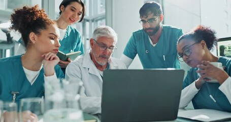 Wall Mural - nurse, team and doctor with laptop for discussion in boardroom with healthcare training and surgery 