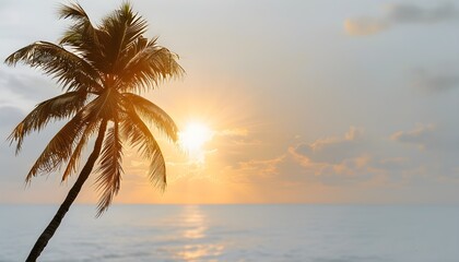 Poster - Tropical Escape: Coconut Palm Trees Bathed in Golden Sunrise Light Against a White Background