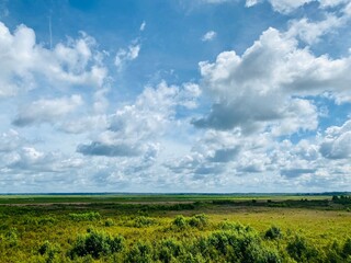 field and blue sky