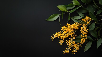 Wall Mural - A vibrant arrangement of yellow flowers and green leaves on a dark background.