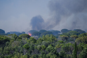 Wildfire in the Massifs des Maures, South of France