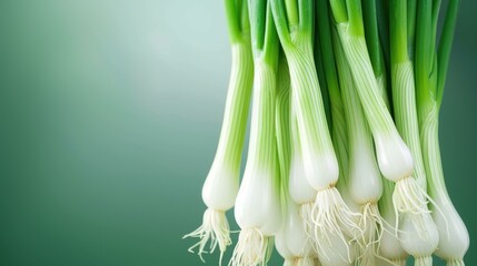 Canvas Print - Bright and vibrant 3D art of spring onion captures its fresh greens, perfect for enhancing any dishs appeal.