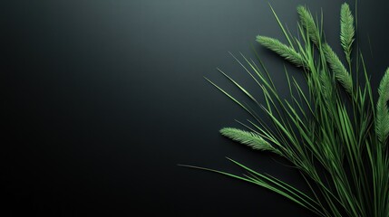 Poster - A close-up of green grass-like plants against a dark background, creating a serene aesthetic.