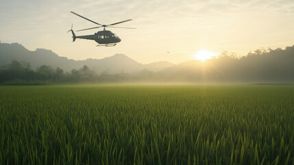 vietnamese village where life continues despite the backdrop of war. local villagers farm rice field