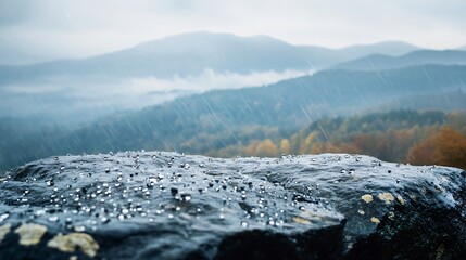 Wall Mural - Rain drops on a rock with a mountain range in the background.