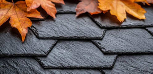 Sticker - Autumn leaves on a slate background