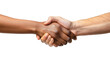 © Muhammad - handshake isolated on white background