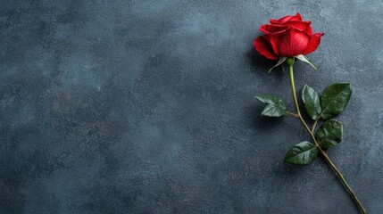 Sticker - Red rose on dark background