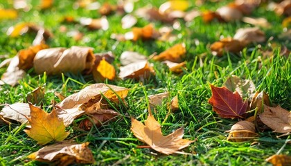 Sticker -  Autumns palette on a grassy canvas