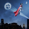 © stokkete - Funny superhero dog flying in the sky at night