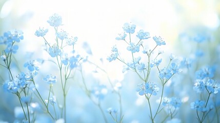 Wall Mural - Soft Blue Flowers in Gentle Light