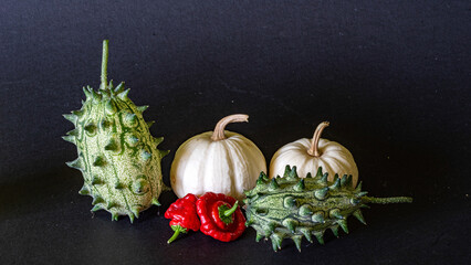 Wall Mural - still life, various autumn vegetables, traditional harvest