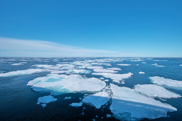 summer broken pack ice banquise in daylight