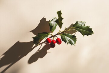 Wall Mural - Sprig of Holly with Red Berries and Shadow on Beige Background