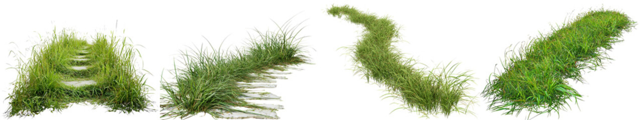 various green grasses on a white isolated background.