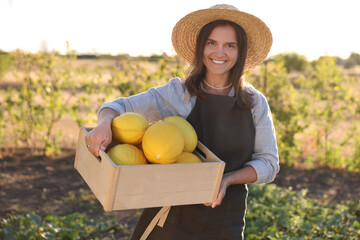 Canvas Print - Smiling woman holding wooden crate of ripe melons in field