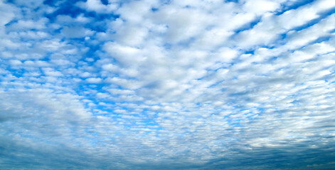 Wall Mural - blue sky background with fluffy clouds, panoramic wide angle view of blue cloudy sky in early mornin