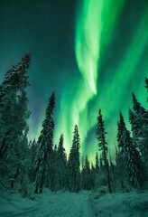 Green aurora borealis In forest