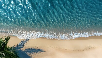 Tropical paradise abstract beach scene with palm leaf shadows and blue ocean waves, evoking summer vacation vibes in natures serene backdrop