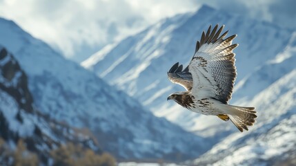 Sticker - hawk circling over snow-covered mountains