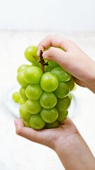 a close-up shot of fresh shine muscat green grapes held by hands, showcasing their vibrant color, sm