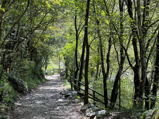 Hiking trails and markings in the canyon of the Kozjak stream, Kobarid (Slovenia) - Wanderwege in der Schlucht des Kozjak-Baches (Slowenien) - Pohodne poti v kanjonu potoka Kozjak, Kobarid (Slovenija)