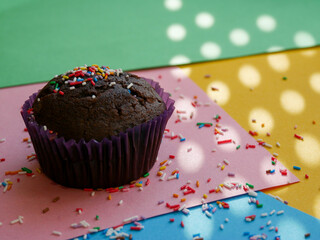 Chocolate cupcake with sprinkles