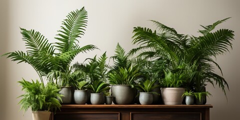 Canvas Print - plant in a pot