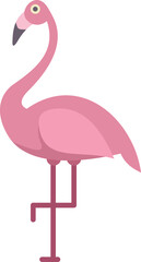 Sticker - Minimalist vector illustration featuring a pink flamingo standing on one leg, showcasing its vibrant color and elegant posture