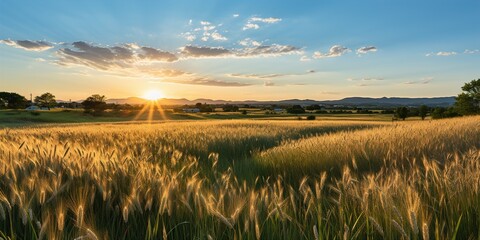 Sticker - sunset over the field