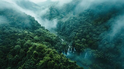 Poster - Aerial view of a temperate rainforest with rivers and waterfalls amidst peaks