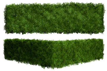 Tropical Flower shrub bush fence tree isolated plant