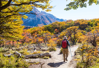 Poster - Hike in autumn season