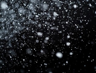 Wall Mural - snow falling on a black background, with snowflakes and particles in a depth of field
