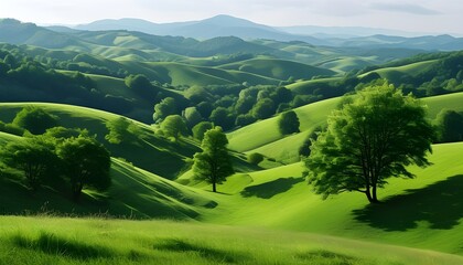 Wall Mural - Serene landscape of undulating green hills with lush grass and scattered trees, embodying tranquility and the beauty of nature.