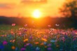 © At My Hat - Sunset over field of wildflowers. Perfect for illustrating the beauty of nature, hope, and new beginnings.