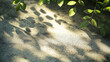 © Kootenay - Sunlit leaf shadows on concrete - Nature, leaves, shadows, sunlight, branches, green, foliage, outdoor, environment, natural light, dappled light, summer, plants, texture