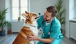 © Muin - Young Male Veterinarian Examining Friendly Golden Retriever Dog in Clinic