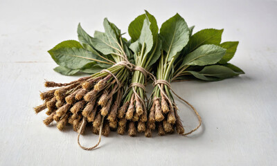 A bunch of fresh, green leaves with brown roots tied together on a white surface