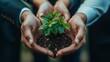 © The Little Hut - Business hands holding green plants together are the symbol of green business company agriculture and collaboration in a green business Ecosystem and Organization Development Cooperati : Generative AI