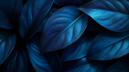 Poster - Closeup detail macro texture bright blue green leave tropical forest plant spathiphyllum cannifolium in dark nature backgroundCurve leaf floral botanical abstract desktop wallpaperwebs : Generative AI