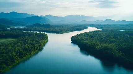 Poster - Beautiful natural scenery of river in southeast Asia tropical green forest  with mountains in background aerial view drone shot : Generative AI