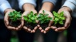 © The Little Hut - Business hands holding green plants together are the symbol of green business company agriculture and collaboration in a green business Ecosystem and Organization Development Cooperati : Generative AI