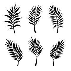 Wall Mural - various black silhouettes of palm leaves against a clean white background showcasing different patte