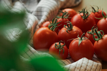 Fresh tomatoes from vegetable garden. 